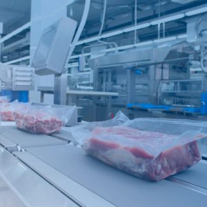 МЯСНАЯ ПРОМЫШЛЕННОСТЬ