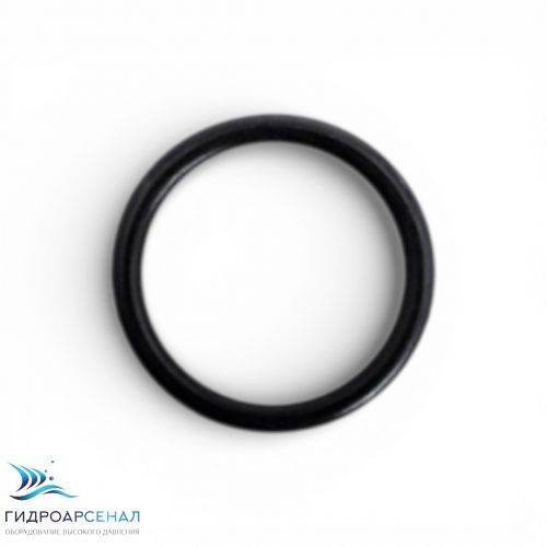 Кольцо клапана ВД.